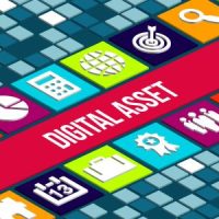 _DigAssets